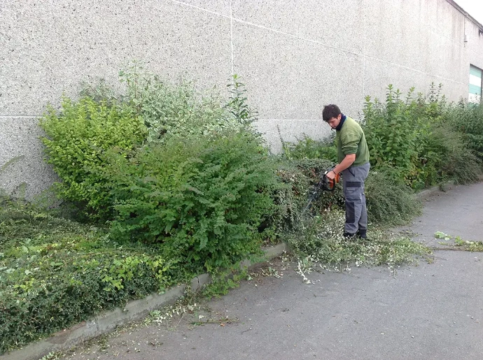 Entretien des espaces verts