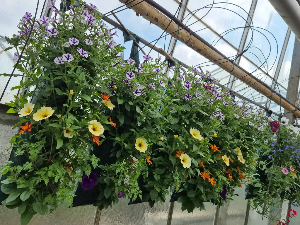 sac canadien (3).webp