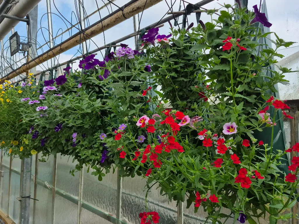 sac canadien (2).webp