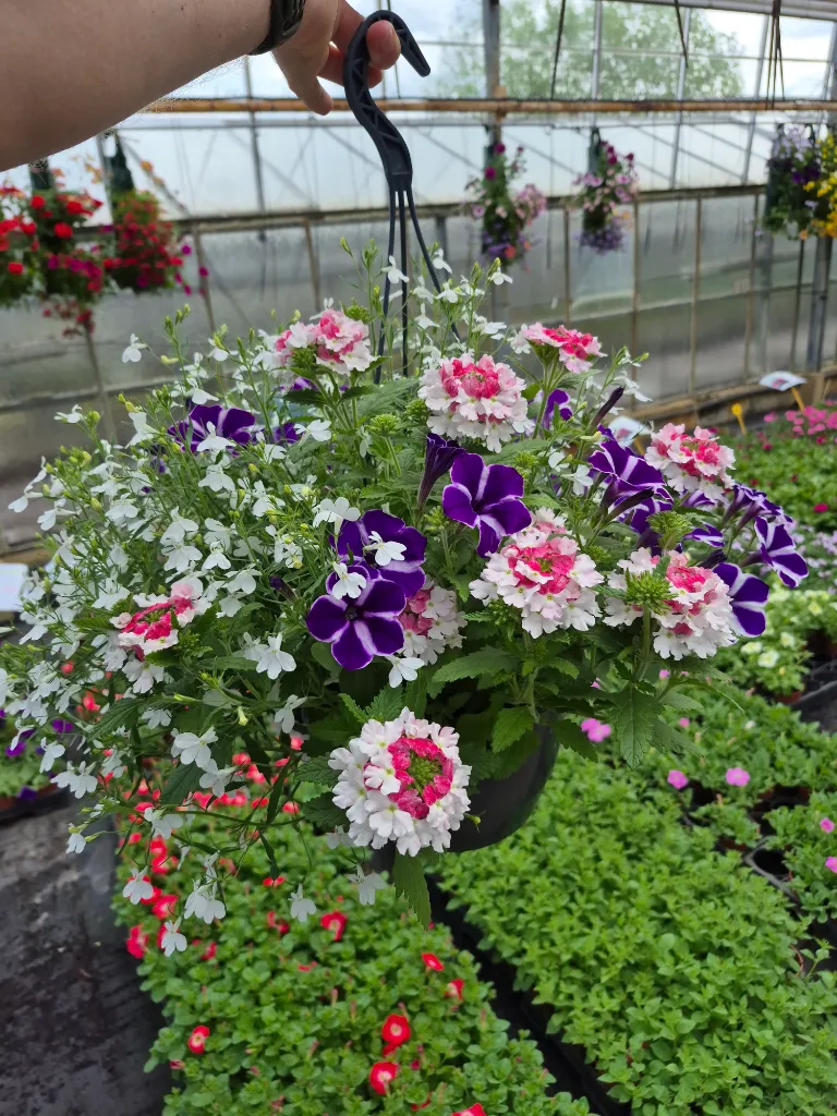 suspension.webp