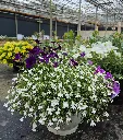 suspension xxl lobelia blanc.webp