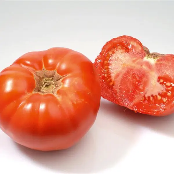 Tomate Marmande