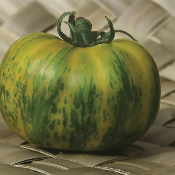 Tomate Green Zebra