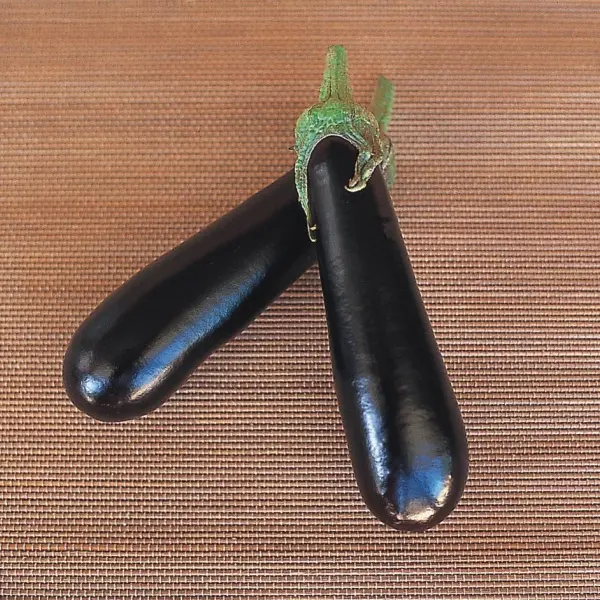 Aubergine Baluroi