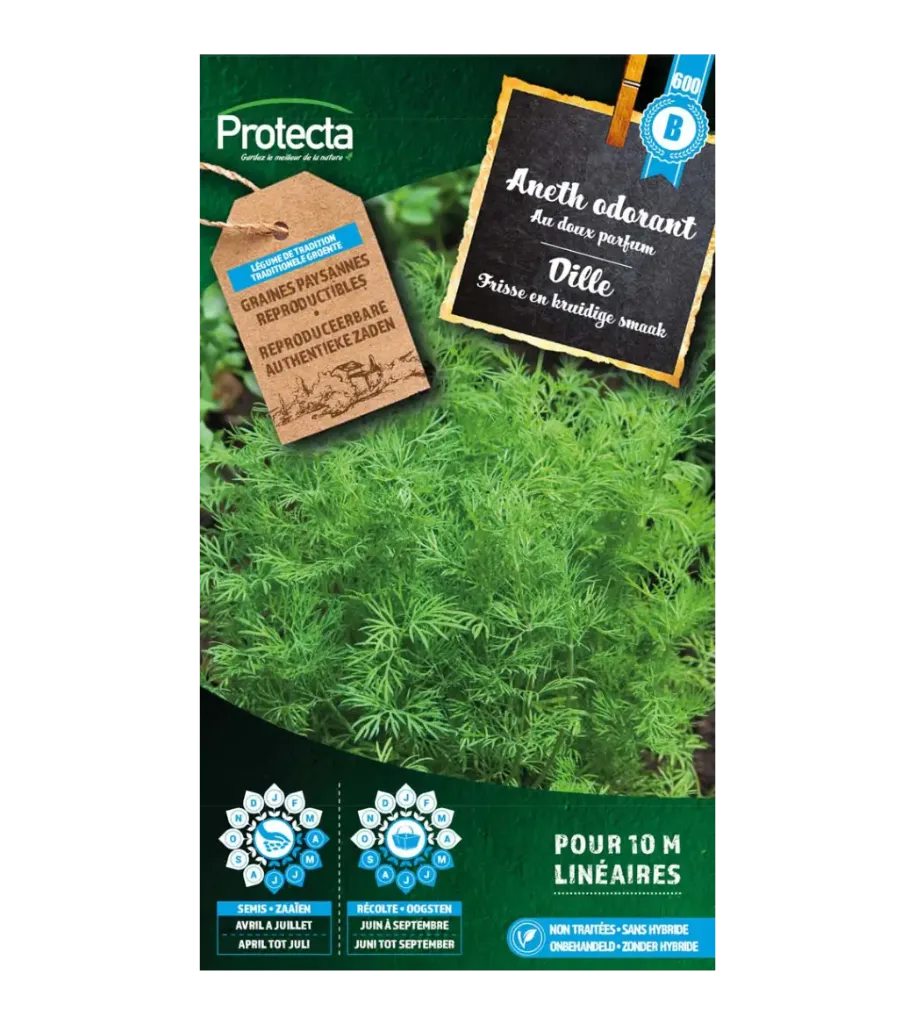 [SE-CON-00001] Aneth odorant