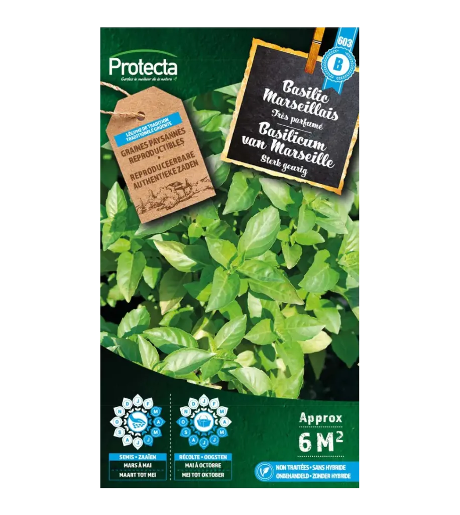 [SE-CON-00004] Basilic Marseillais