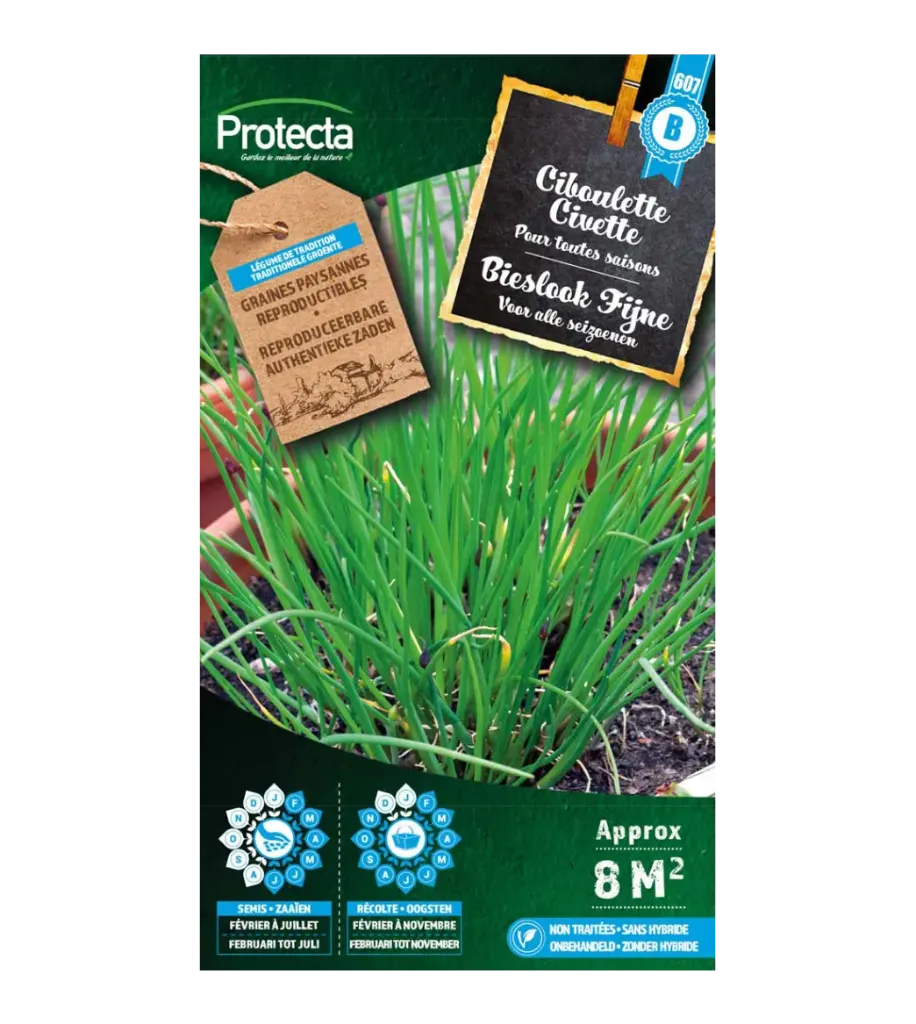 [SE-CON-00008] Ciboulette Civette