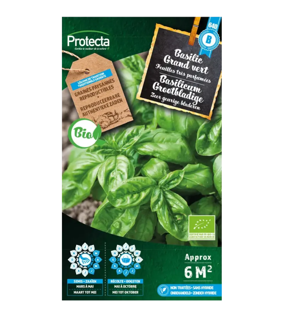[SE-CON-00049] Basilic Grand vert BIO