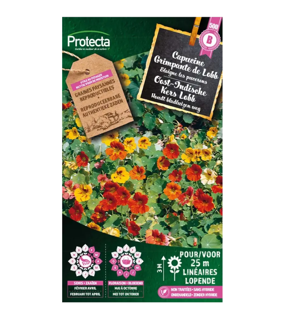 [SE-CON-00025] Capucine Grimpante de Lobb