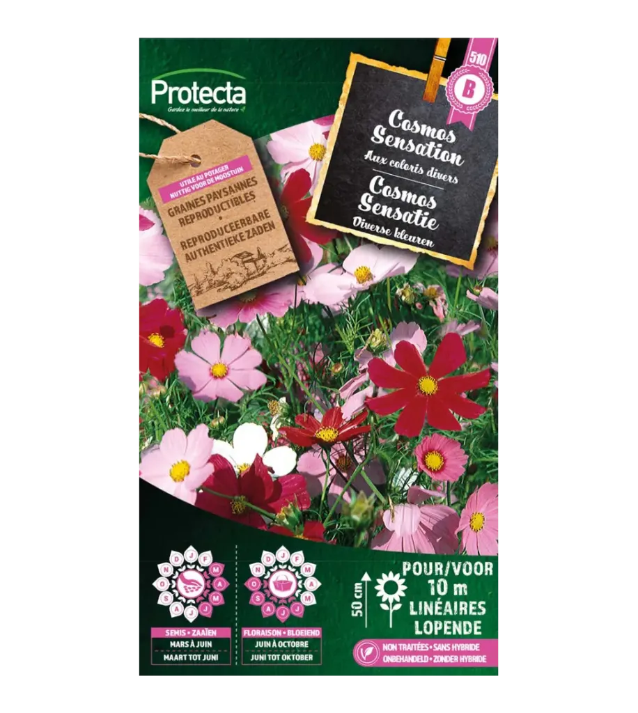 [SE-CON-00027] Cosmos Sensation