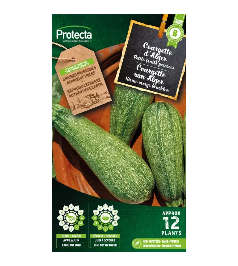 [SE-POT-00071] Courgette d'Alger