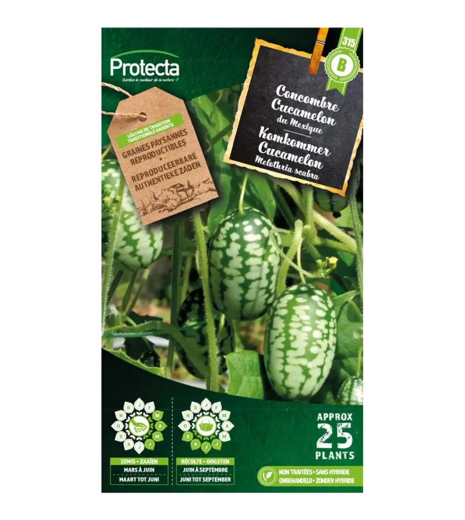 [SE-POT-00158] Concombre Cucamelon