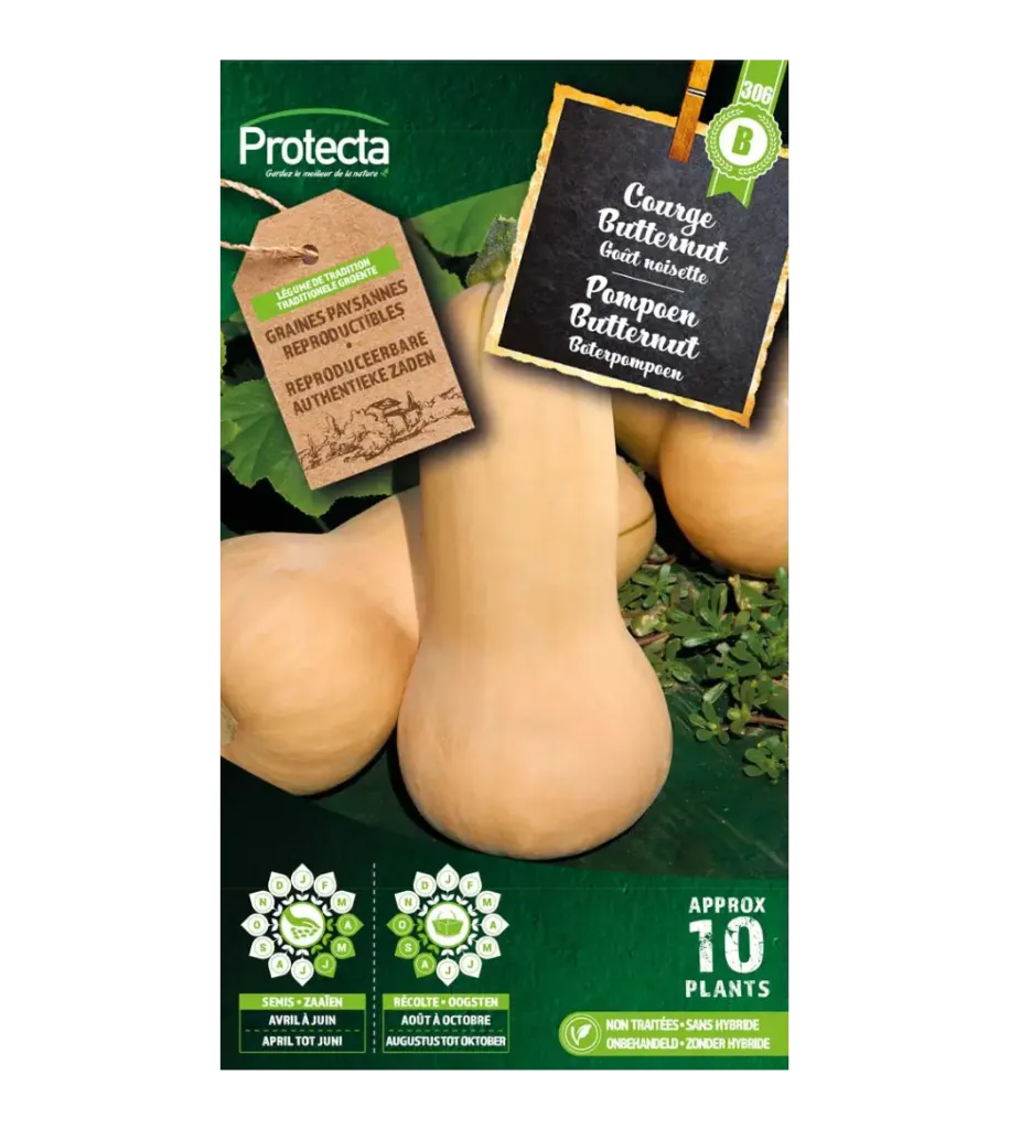 [SE-POT-00069] Courge Butternut