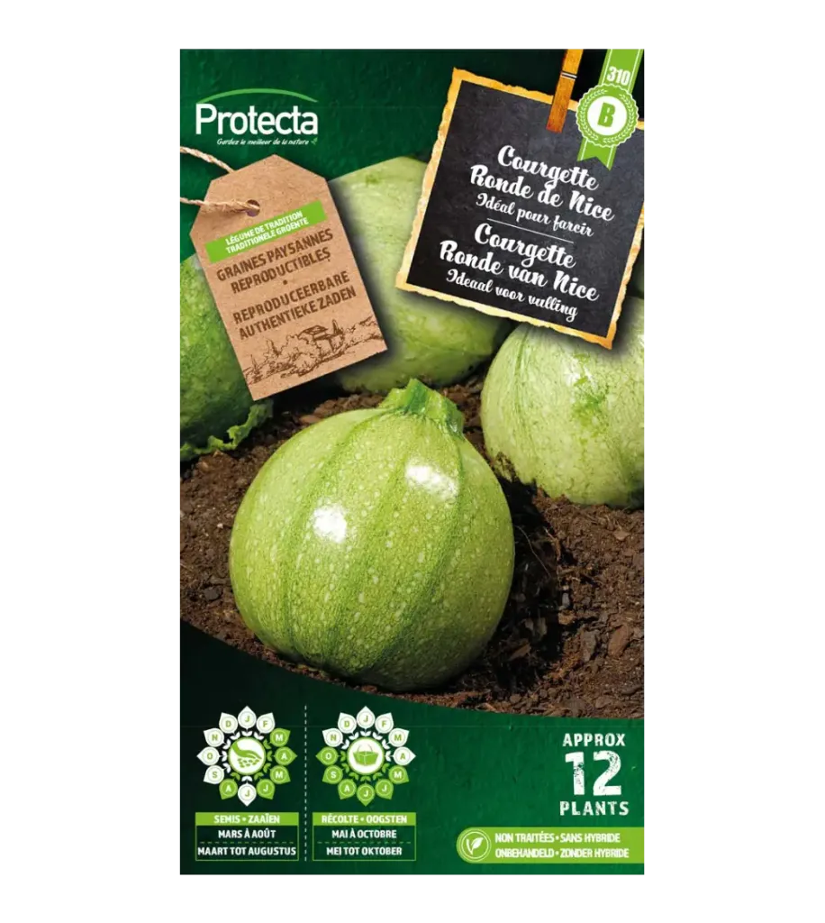 [SE-POT-00073] Courgette Ronde de Nice