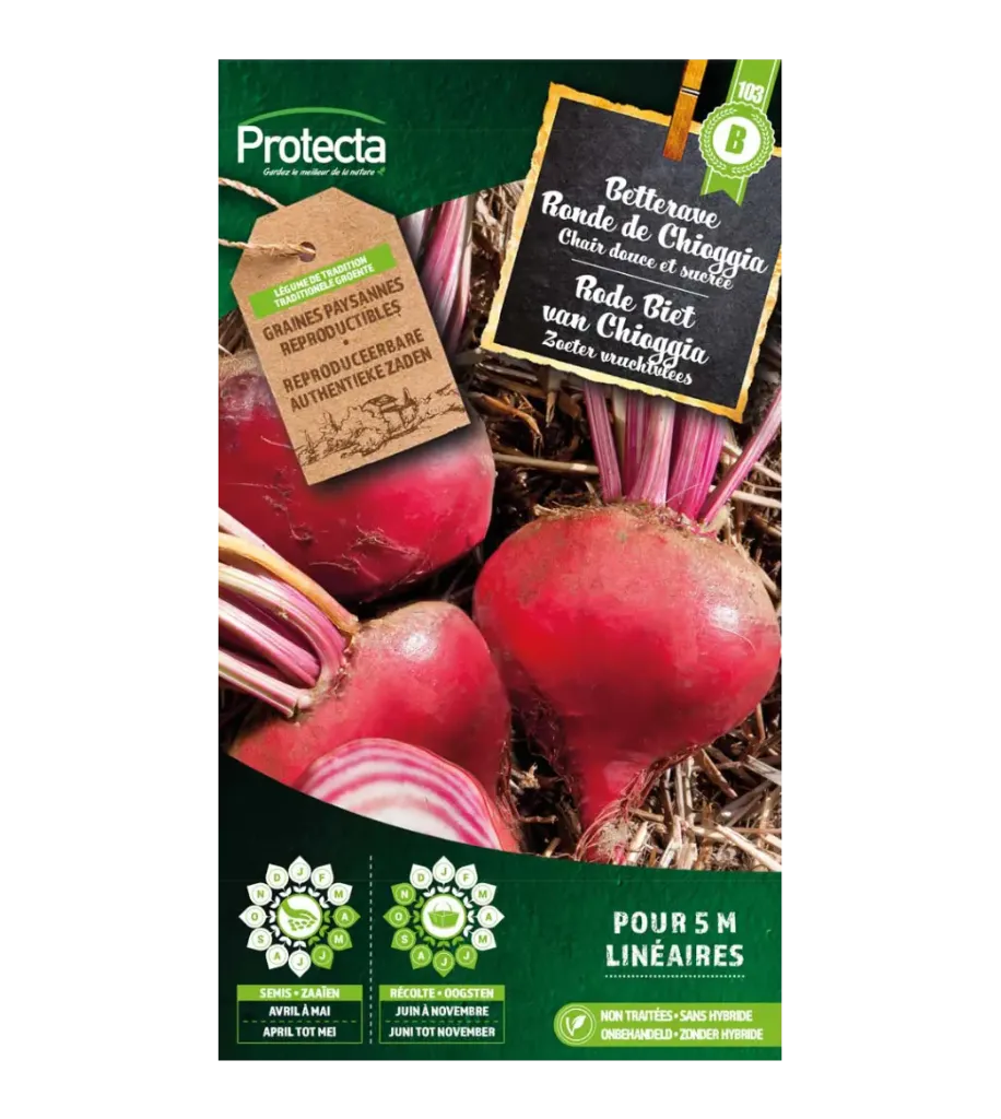 Betterave Ronde de Chioggia