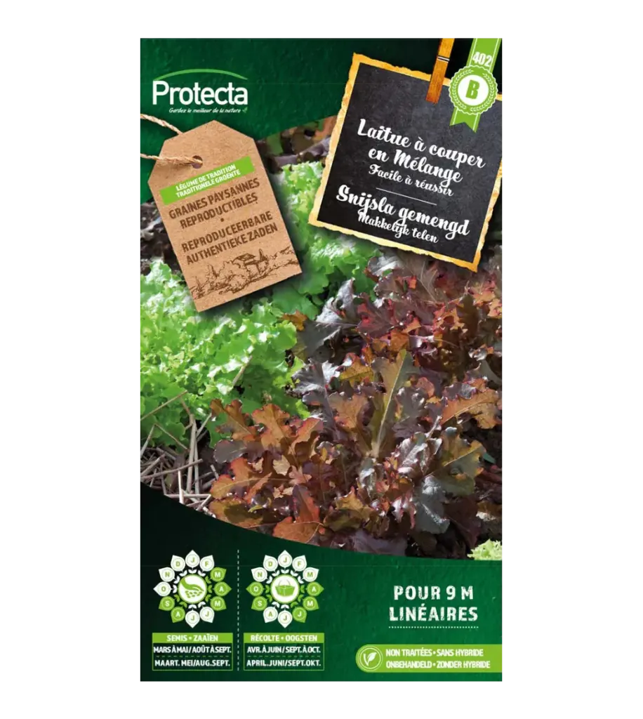 Laitue à couper en Mélange