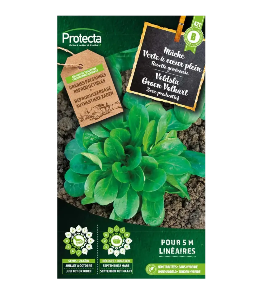 Mâche Verte à cœur plein