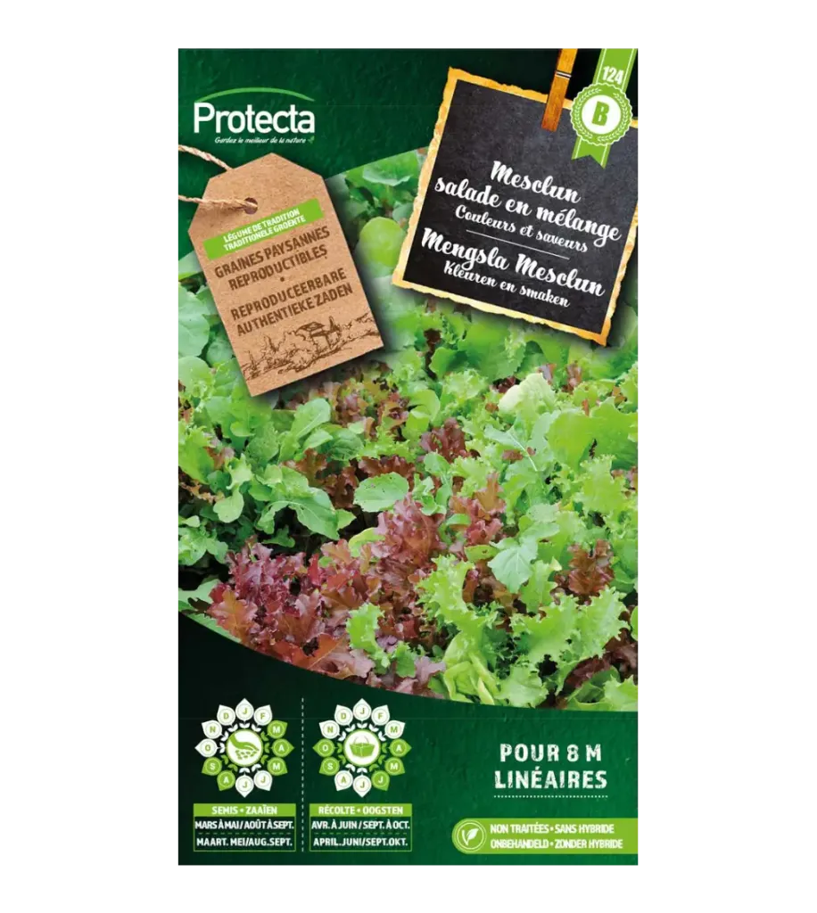 Mesclun salade en mélange