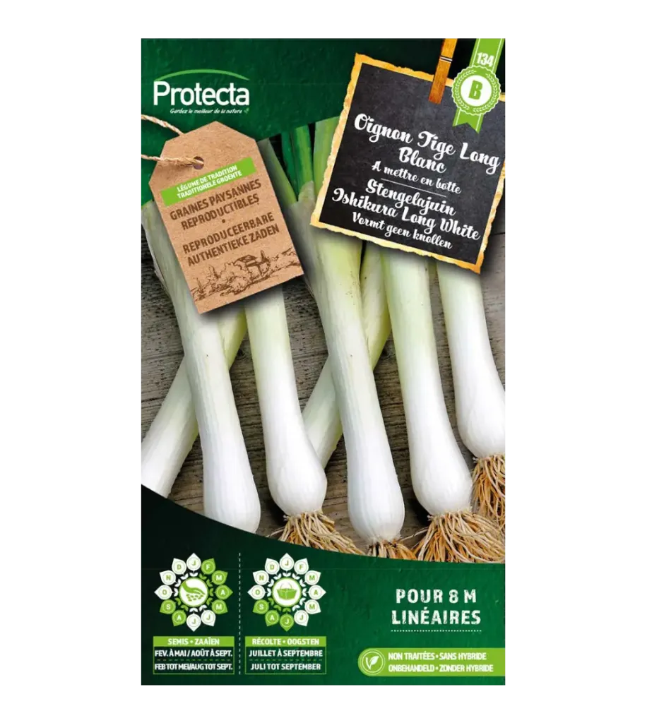 Oignon Tige Long Blanc