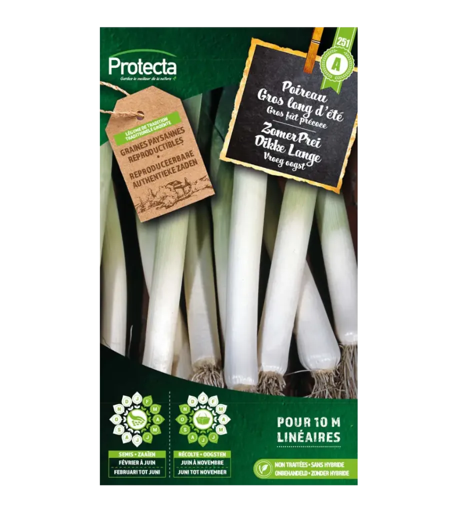 Poireau Gros long d'été