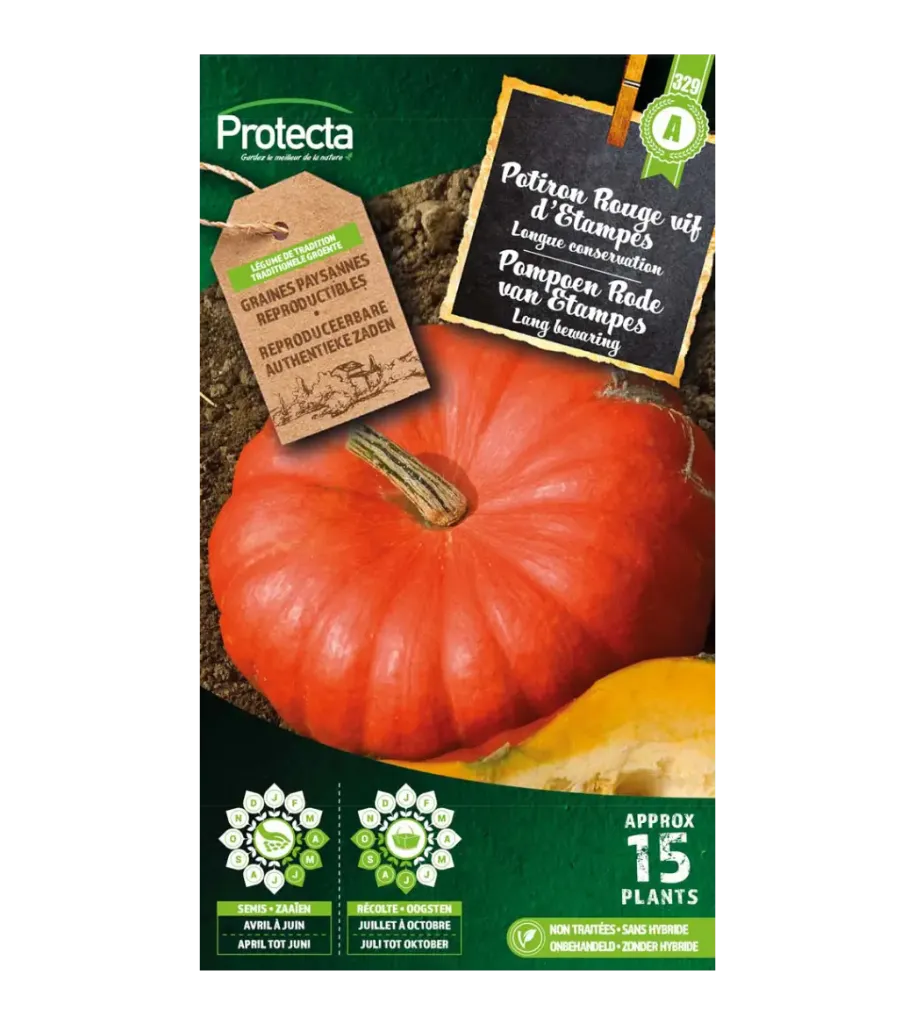 Potiron Rouge vif d'Etampes