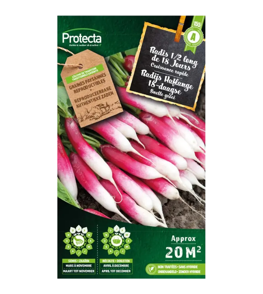 [SE-POT-00022] Radis 12 long de 18 Jours