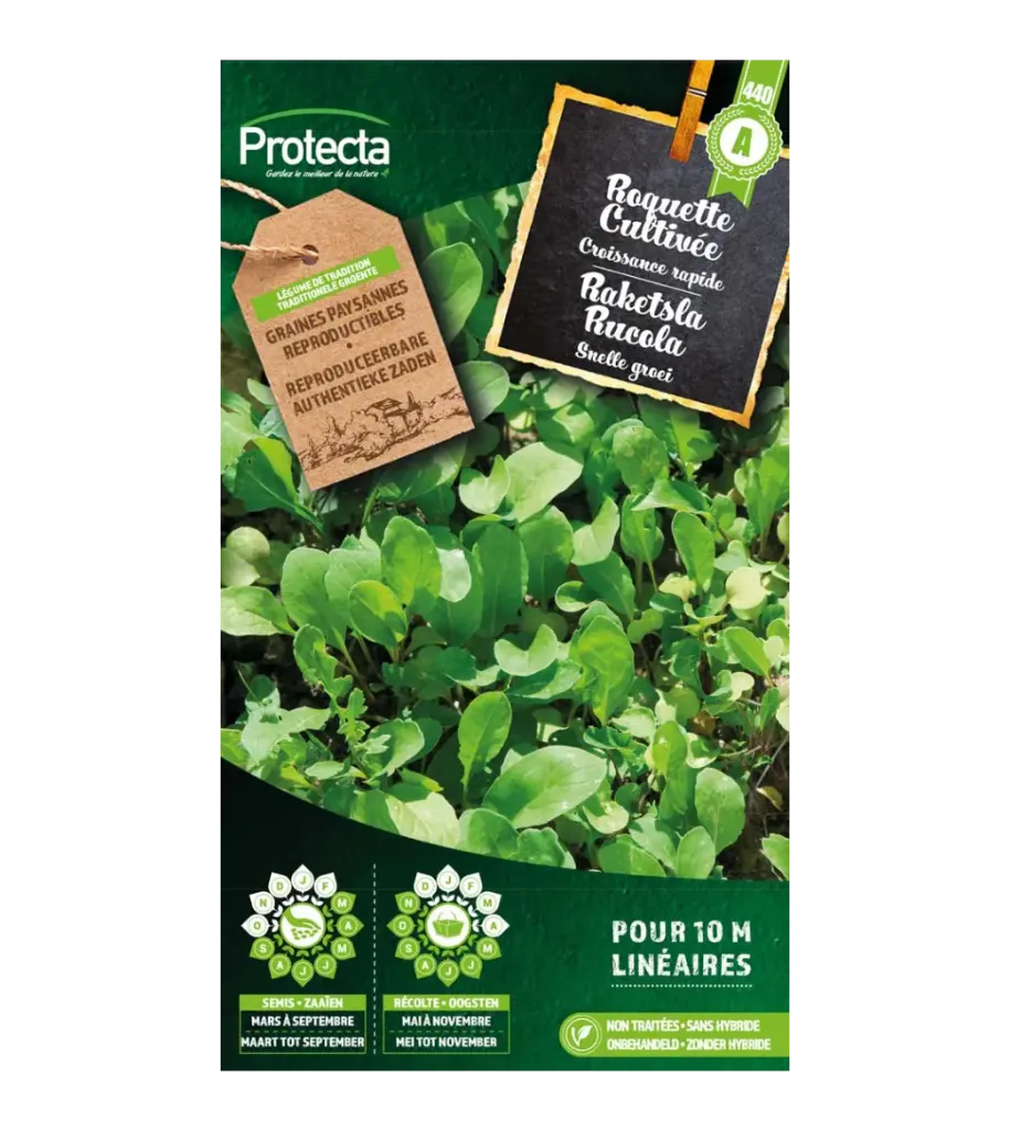 [SE-POT-00129] Roquette Cultivée