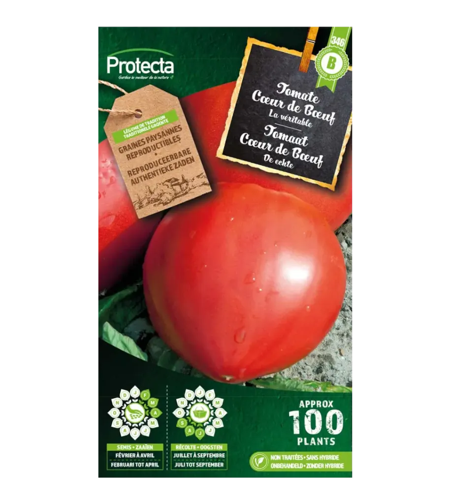 Tomate Cœur de Bœuf
