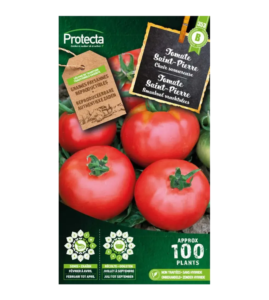 Tomate Saint-Pierre