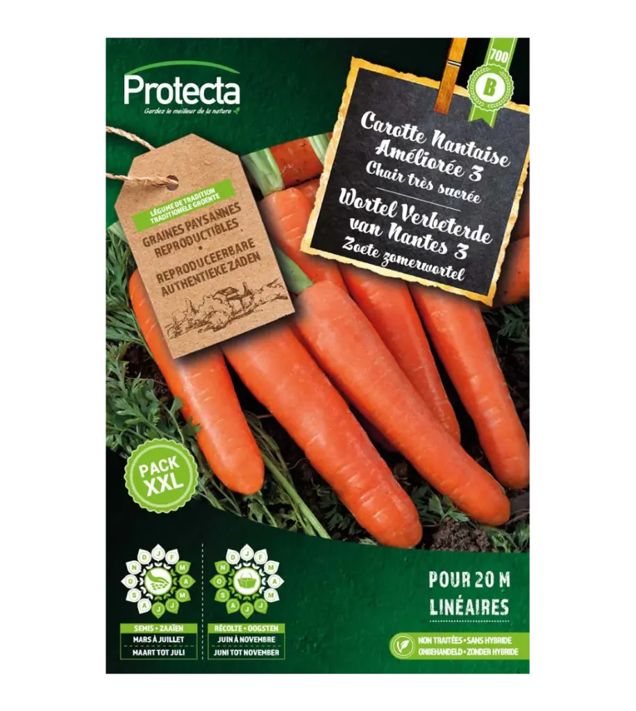[SE-POT-00168] Carotte Nantaise Améliorée 3
