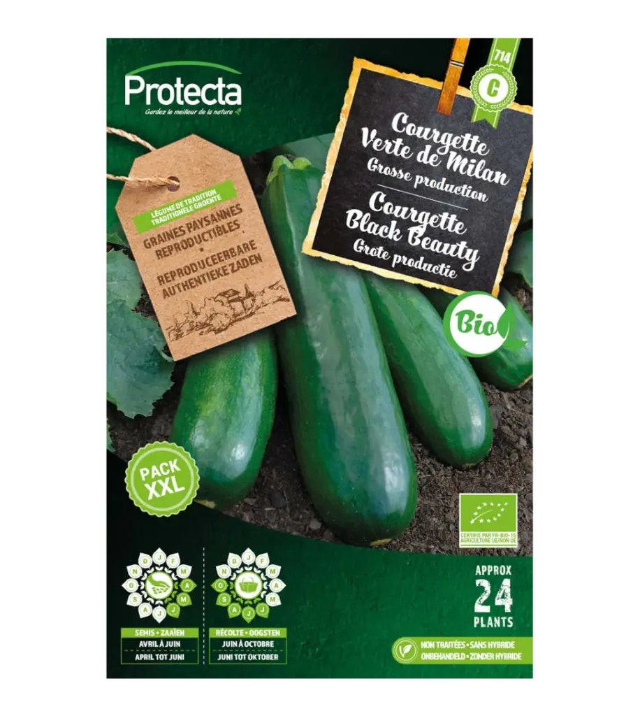 Courgette Verte de Milan BIO