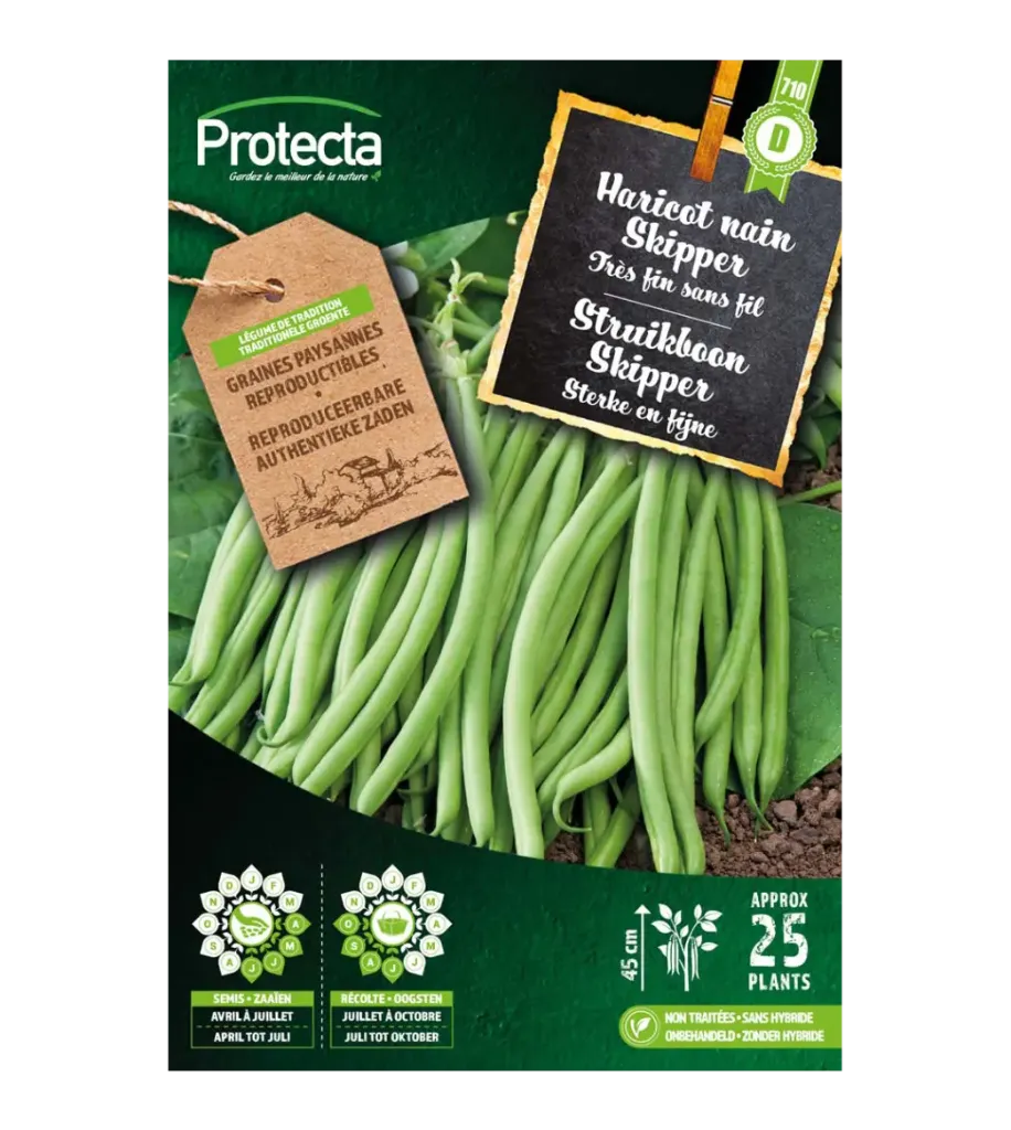 Haricot nain Skipper