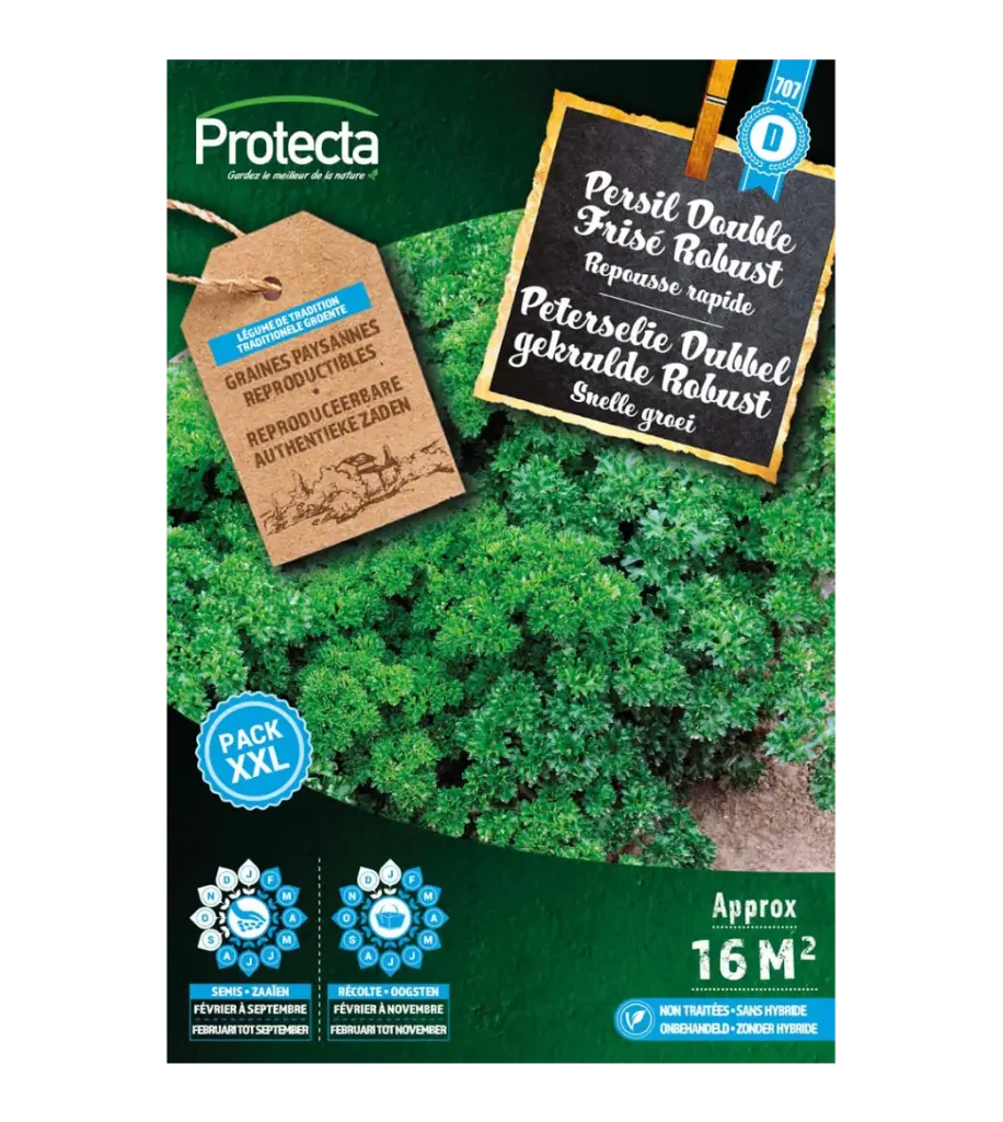 Persil Double Frisé Robust