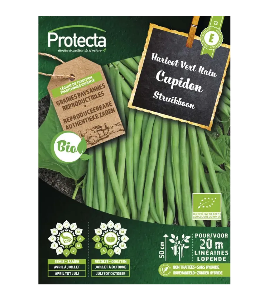 Haricot vert nain Cupidon BIO