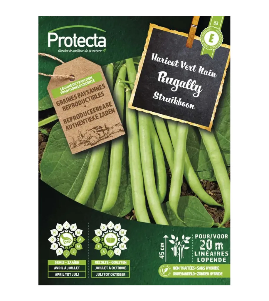 Haricot vert nain Rugally