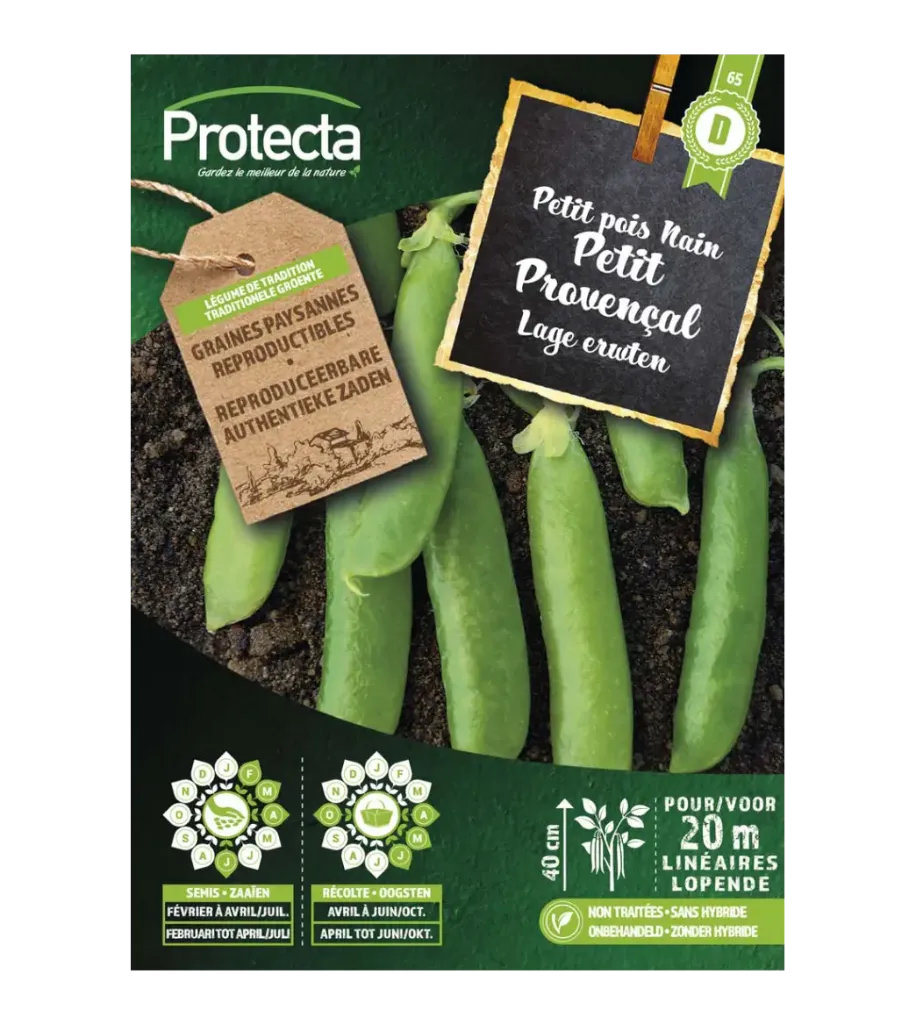 Petit pois nain Petit Provençal