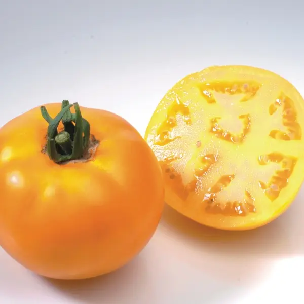 Tomate Lemon Boy