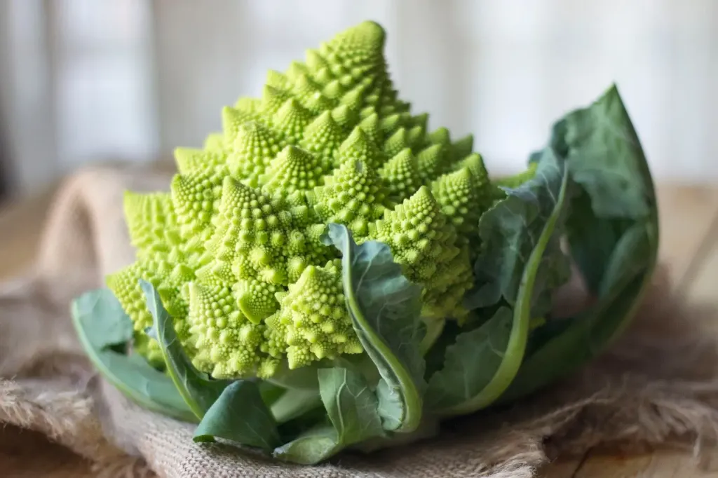 Chou romanesco à repiquer (5pc)