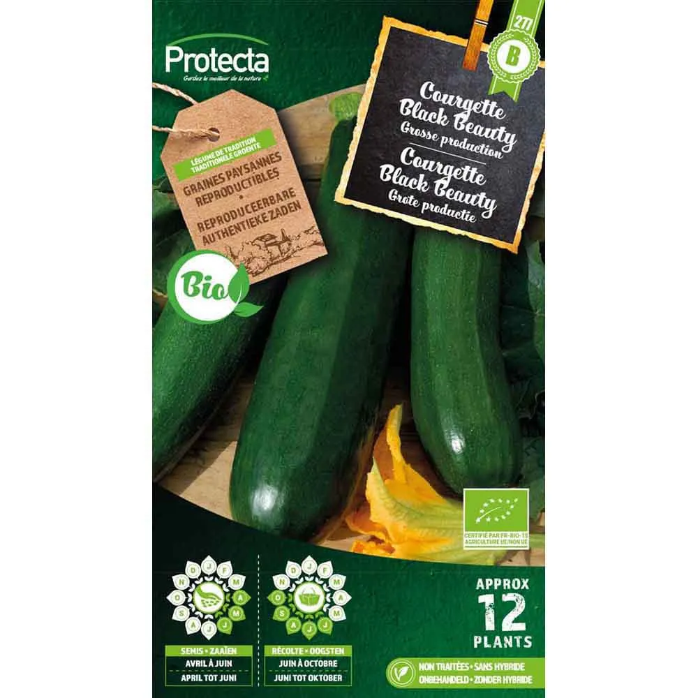 [SE-POT-00192] Courgette Black Beauty Bio