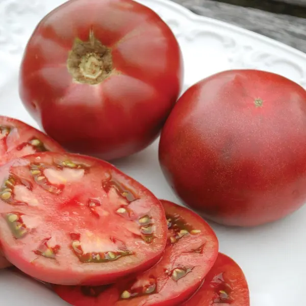 Tomate Cherokee Purple