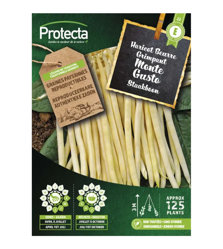 [SE-SEC-00004] Haricot beurre grimpant Monte Gusto