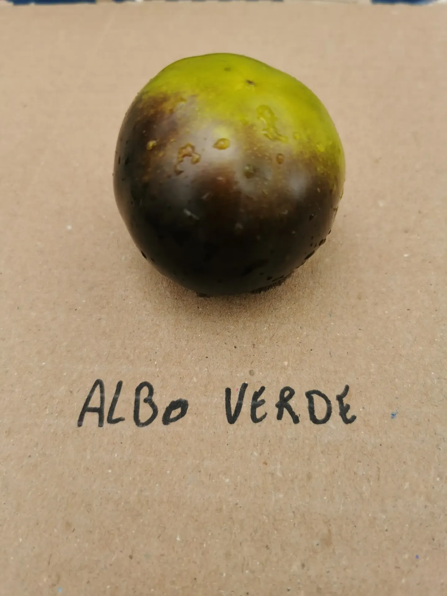 Tomate Albo Verde