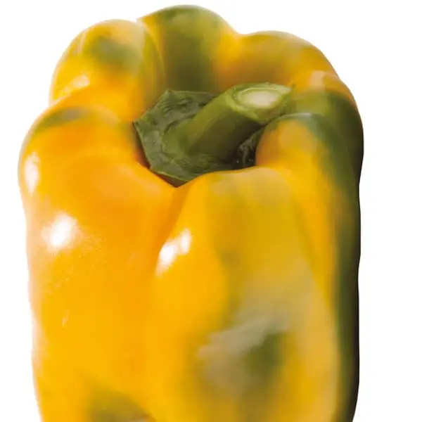 Poivron Goldenstar (cube)